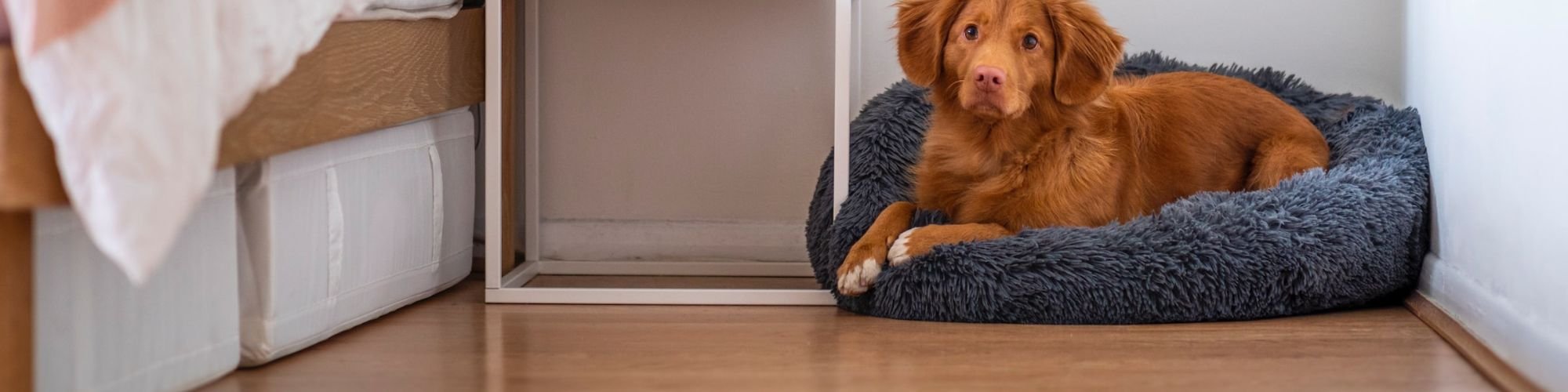 Choose from a wide variety of laminate styles from Steven's Floor Coverings