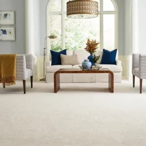 Carpet in living room | Stevens Floor Coverings