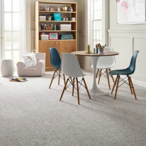 Kids playroom Carpet | Stevens Floor Coverings