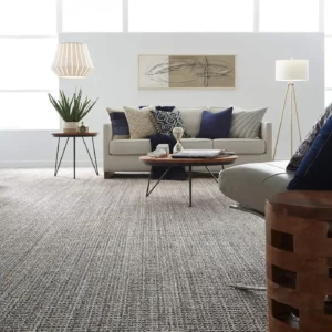 Carpet in a modern living room | Stevens Floor Coverings